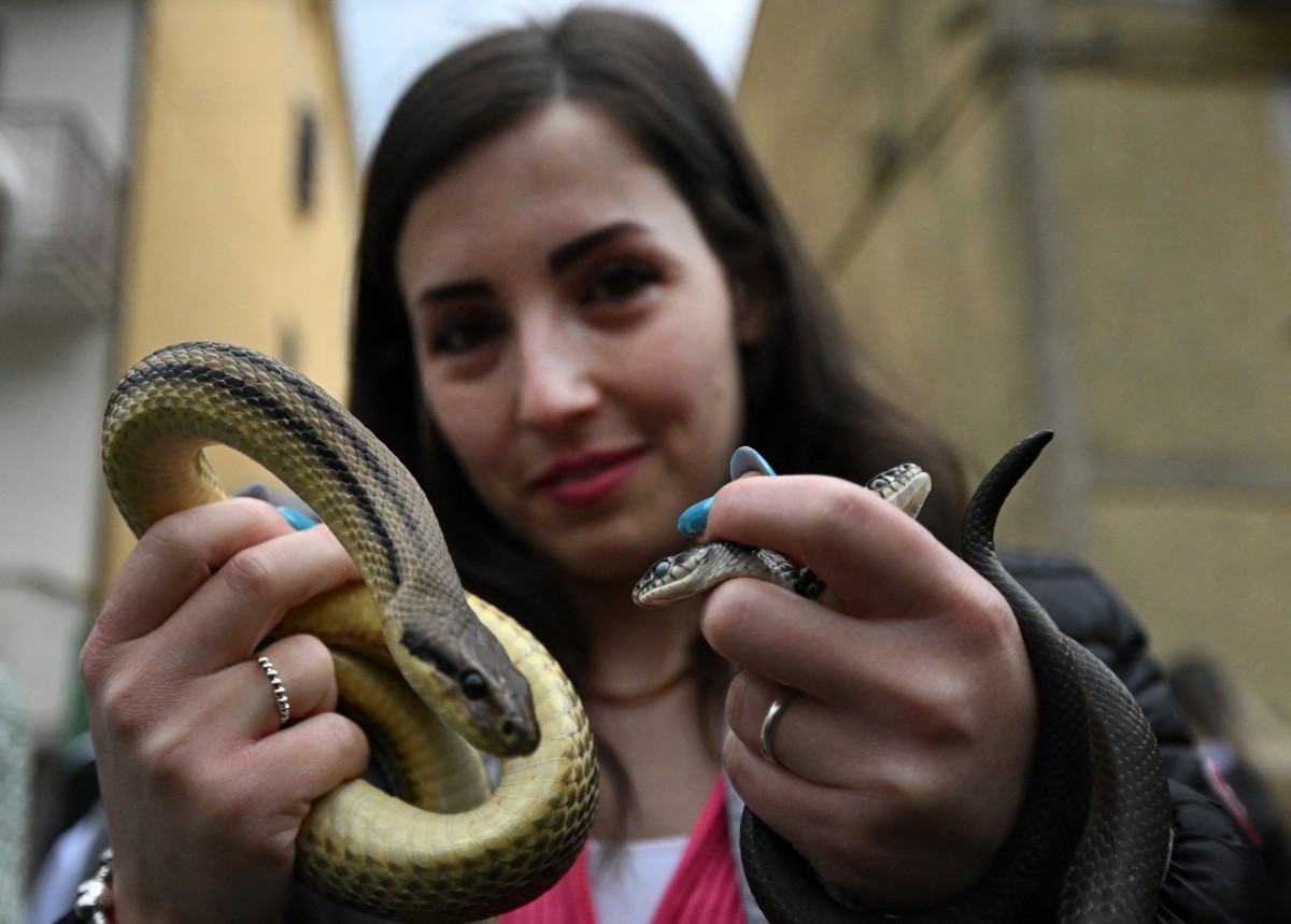 Religiosos usam serpentes em procissão tradicional, na Itália; veja fotos — Foto: TIZIANA FABI/AFP