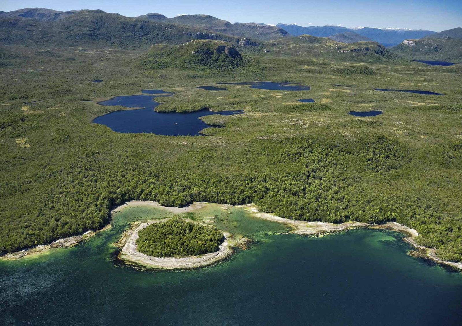Ilha está coberta de turfa, um material de origem vegetal, parcialmente decomposto, encontrado em camadas em zonas úmidas — Foto: Hall and Hall