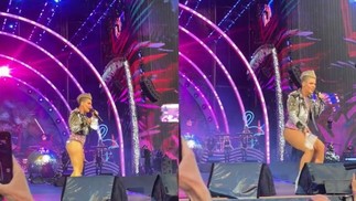 A cantora Pink, que já recebeu uma roda de queijo de um fã durante um show, ficou surpresa quando um fã em Londres, em junho, jogou um saco plástico contendo as cinzas de sua mãe — Foto: Reprodução