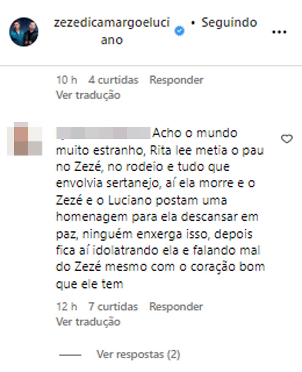 Internautas comentam post de Zezé Di Camargo e Luciano após morte de Rita Lee — Foto: Instagram