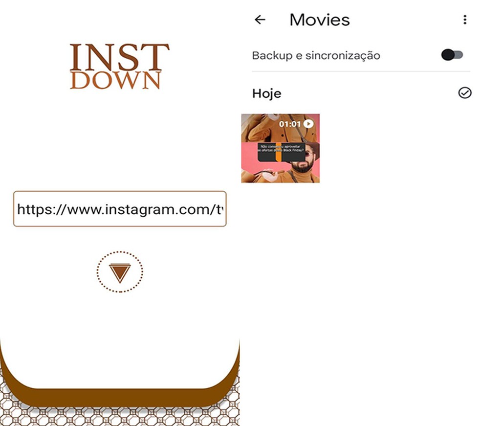 Instdown é opção para baixar vídeos do Instagram facilmente  — Foto: Reprodução/Flávia Fernandes