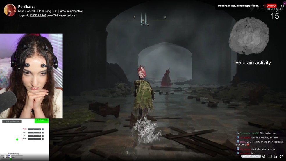 Perrikaryal usar ondas cerebrais para jogar DLC de Elden Ring — Foto: Reprodução/Twitch (@Perrikaryal)