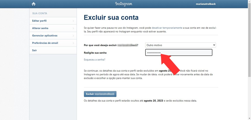 Após definir um motivo, é necessário inserir sua senha do Instagram  — Foto: Reprodução/Mariana Tralback