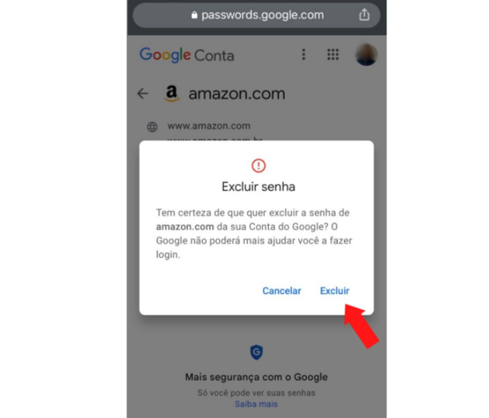 iPhone permite a exclusão de qualquer senha salva na conta do Google  — Foto: Reprodução/Mariana Tralback