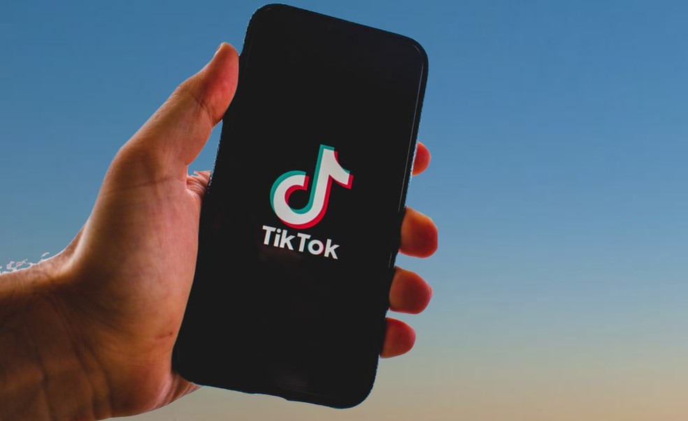 Não é possível determinar o nível de segurança da plataforma Wrapped for TikTok  — Foto: Divulgação/Pixabay