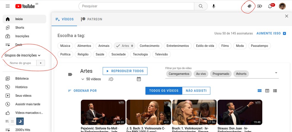 No canto à direita, o PocketTube exibe tags e os vídeos relacionados ao nome de cada grupo — Foto: Reprodução/Ana Julia Vaz