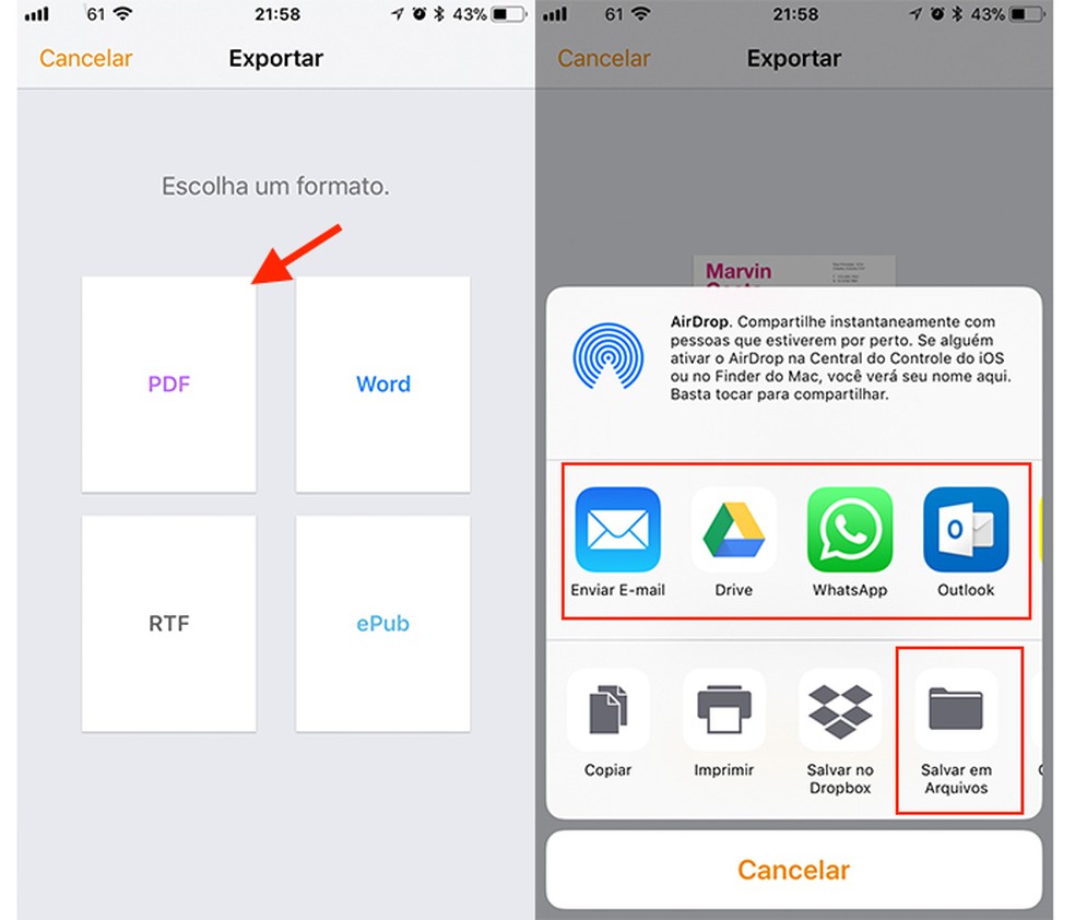 Opção para exportar um currículo criado com o app Pages para iOS — Foto: Reprodução/Marvin Costa