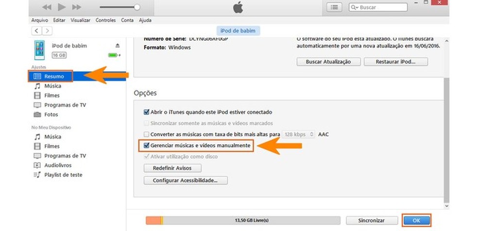Habilite o controle manual do iTunes (Foto: Reprodução/Barbara Mannara) — Foto: TechTudo