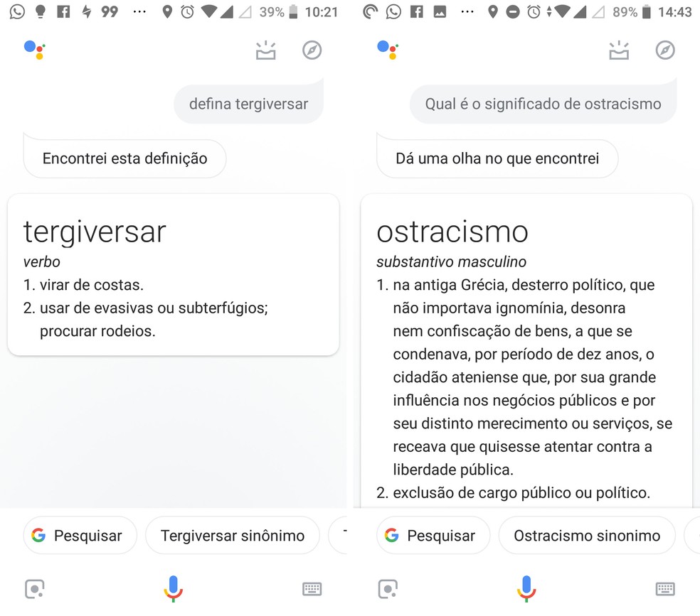 Consulte o significado de palavras no dicionário a partir da Google Assistente — Foto: Reprodução/Isabela Cabral