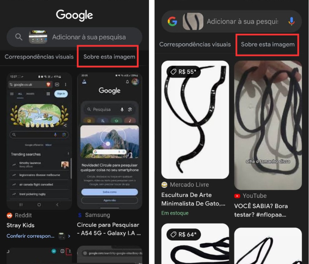 Ferramenta "Sobre essa Imagem" acessada pelo Google Lens e pelo Circule para Pesquisar — Foto: Reprodução/Juliana Villarinho