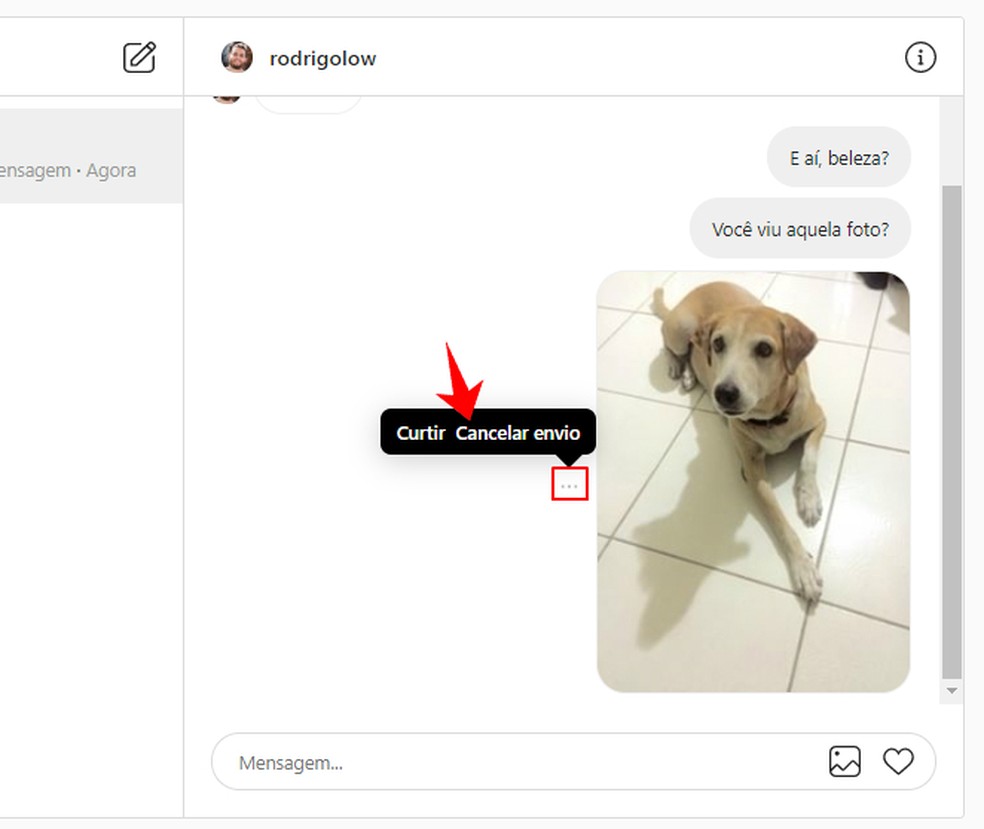 Excluindo uma mensagem no Direct do Instagram Web — Foto: Reprodução/Rodrigo Fernandes