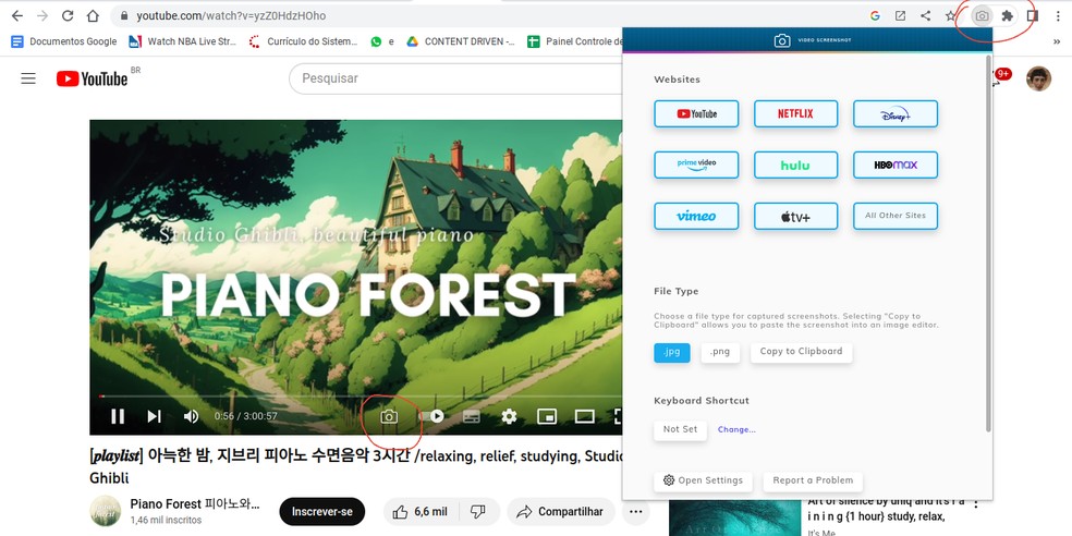 Ao clicar no ícone de câmera no vídeo, o Video Screenshot realiza capturas de tela nos vídeos do YouTube — Foto:  Reprodução/Ana Julia Vaz