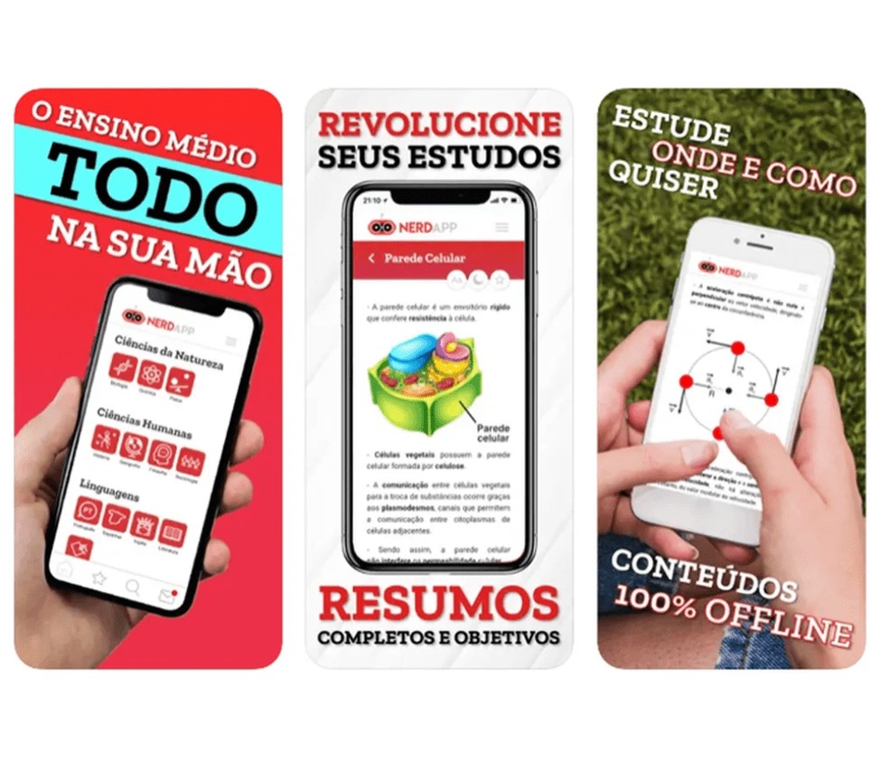 O Nerd App é um app de resumos para facilitar revisão de conteúdos — Foto: Reprodução/Bruno Guerra