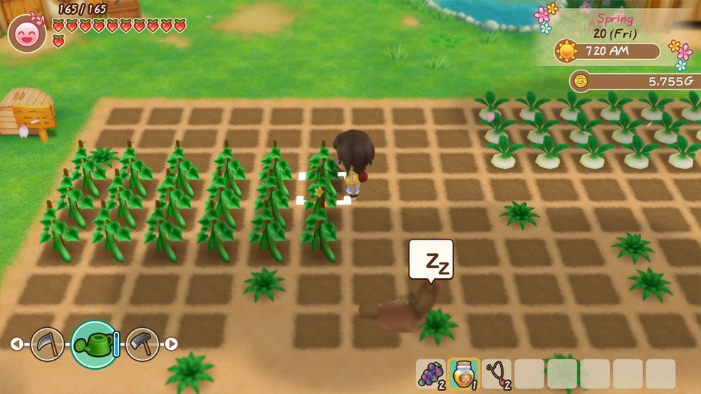 Story of Seasons terá remake de Harvest Moon para a geração atual de consoles — Foto: Reprodução/Steam