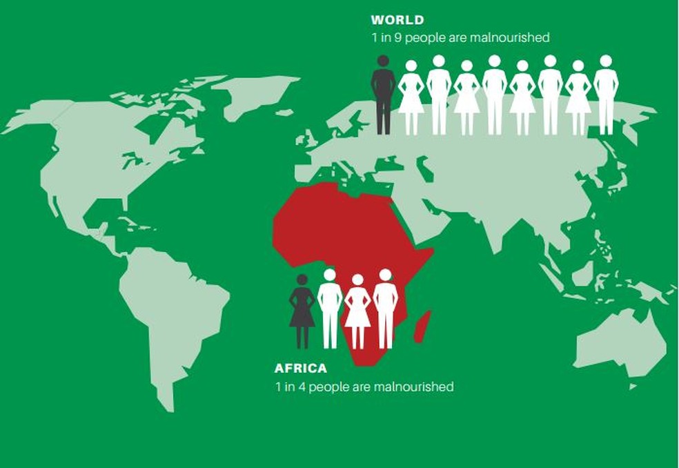 1 em 4 pessoas são mal nutridas na áfrica, enquanto no resto do mundo 1 em cada nove — Foto: Reprodução/CIAT