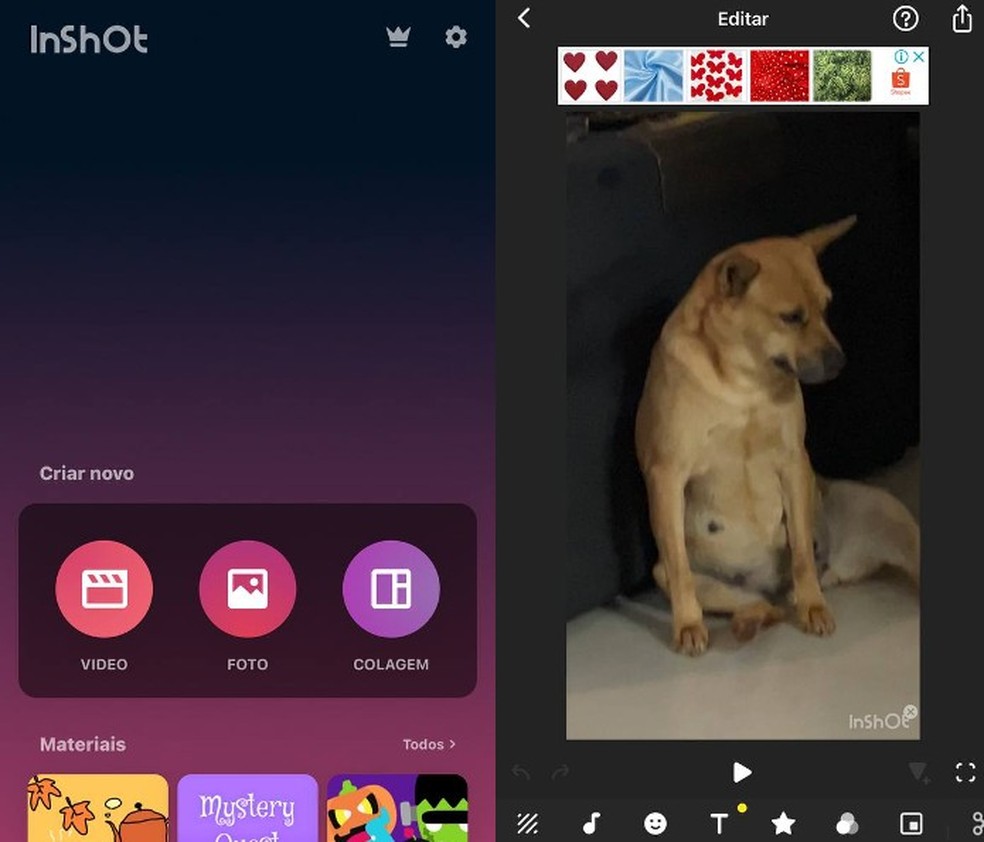 App InShot é um dos melhores editores de vídeo para celular — Foto: Letícia Sekitani/TechTudo