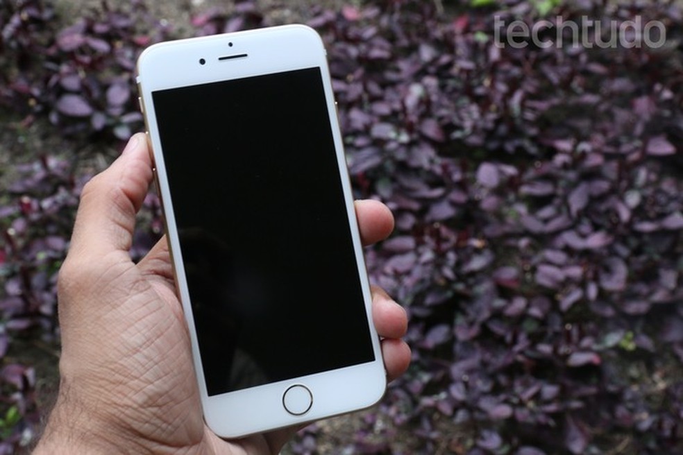 iPhone 6, novo top de linha da Apple (Foto: Lucas Mendes/TechTudo) — Foto: TechTudo