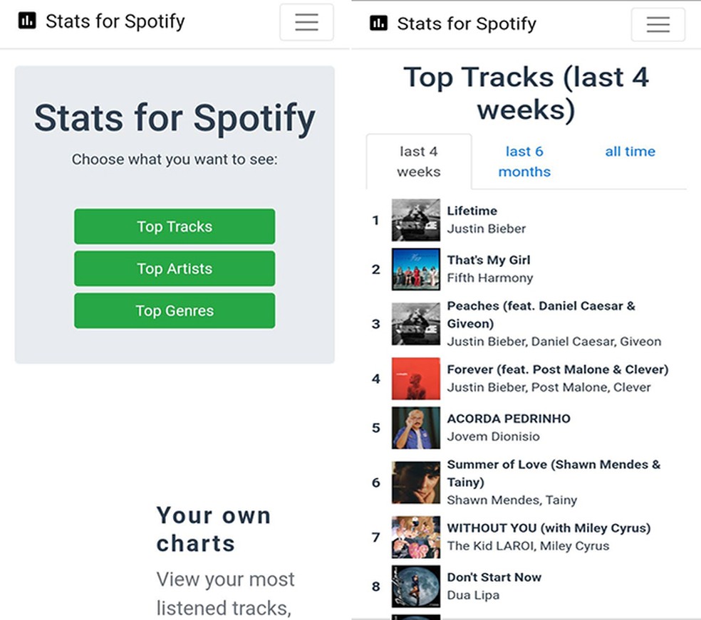 Site Stats for Spotify mostra músicas, artistas e gêneros mais ouvidos no Spotify — Foto: Reprodução/Flávia Fernandes 