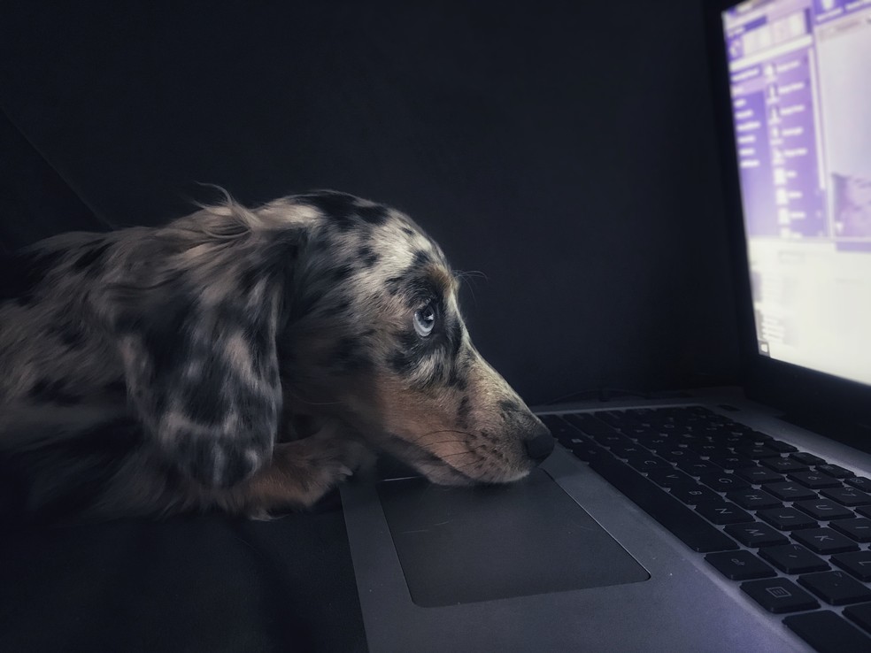 PC não conecta na Internet? Veja possíveis causas e como resolver — Foto: Kyle Hanson/Unsplash