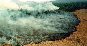 Incêndios florestais no Brasil já queimaram área equivalente à Holanda 