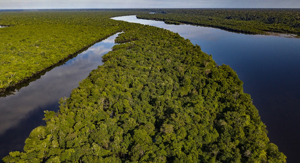 O povo paumari, é uma das etnias que usa drones para monitorar a Amazônia e evitar atividades ilegais, como pesca, mineração e corte de madeira, além de combater focos de incêndios — Foto: Marizilda Cruppe/Divulgação