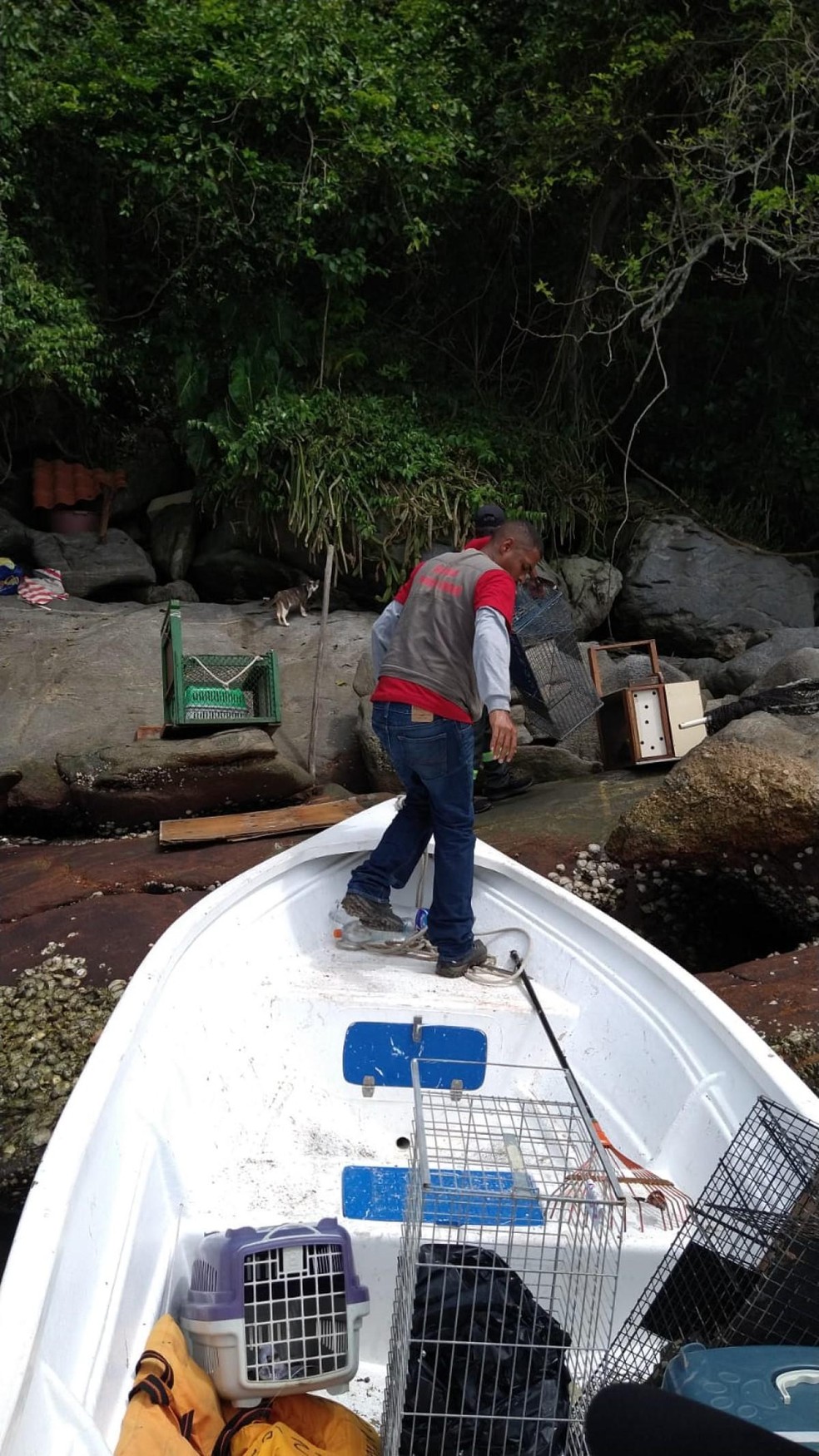 Na foto, é possível ver o barco da equipe Veterinários na Estrada com algumas gaiolas para o resgate dos gatos — Foto: ( Amélia Oliveira/ Arquivo pessoal)