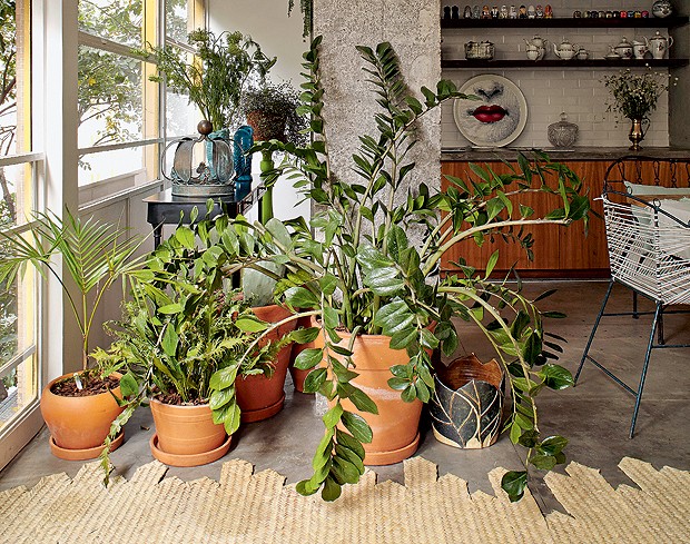 Neste projeto assinado pelo designer Marcelo Rosenbaum e pelo arquiteto Flávio Miranda, a zamioculca foi plantada em um vaso de barro e posicionada no living do apartamento (Foto: Victor Affaro/Editora Globo)