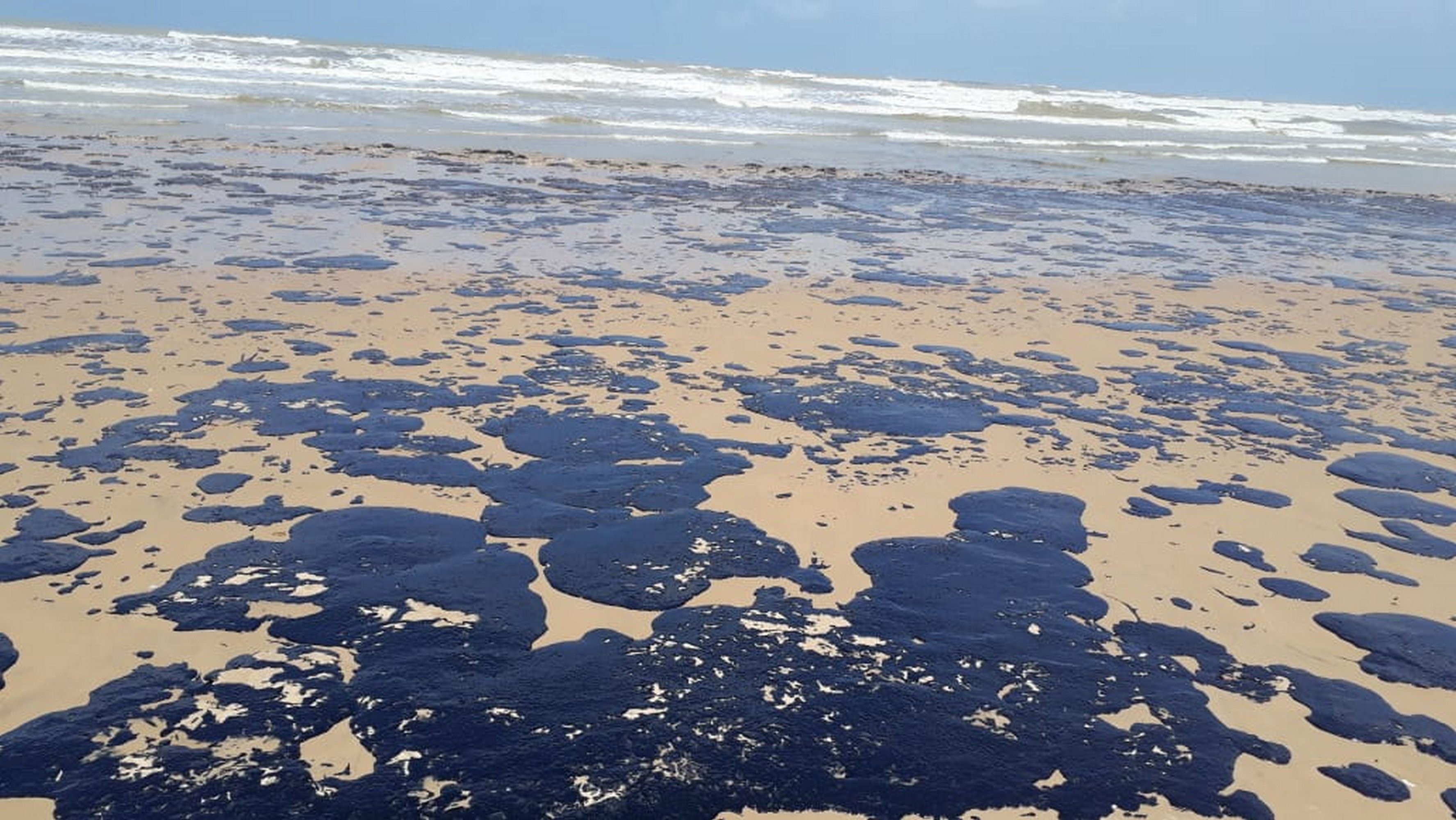 Manchas de óleo em praia de Sergipe (Foto: Reprodução Ibama)