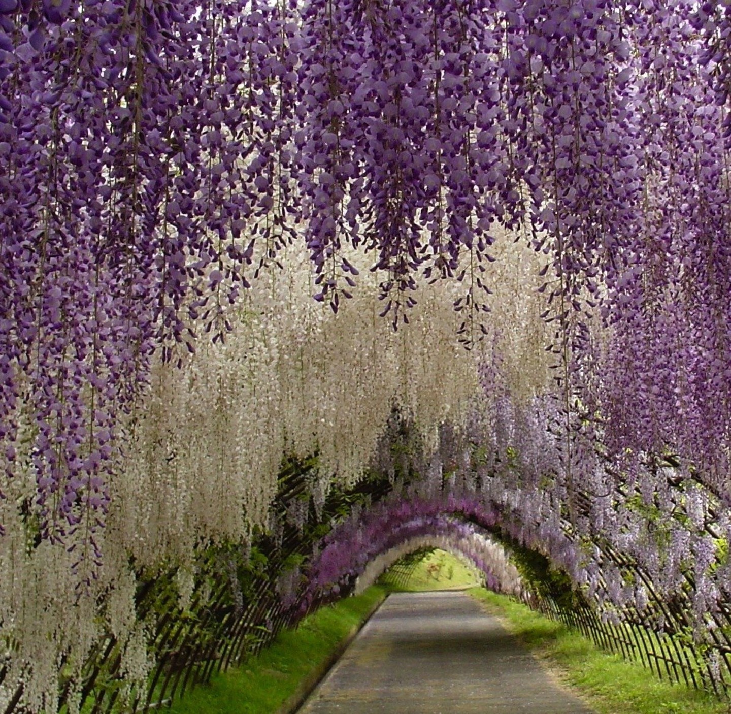 6 jeitos deslumbrantes de criar instalações florais (Foto:  )