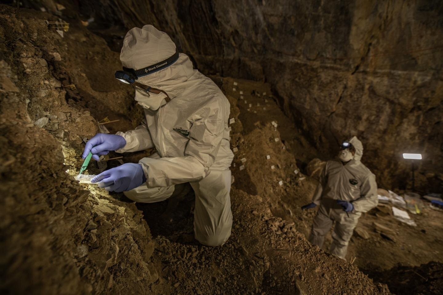 Fragmentos de DNA detectados em fezes e gotículas de urina em uma caverna mexicana da pré-história foram capazes de permitir o sequenciamento do genoma completo de duas espécies de ursos norte-americanos (Foto: Devlin A. Gandy)