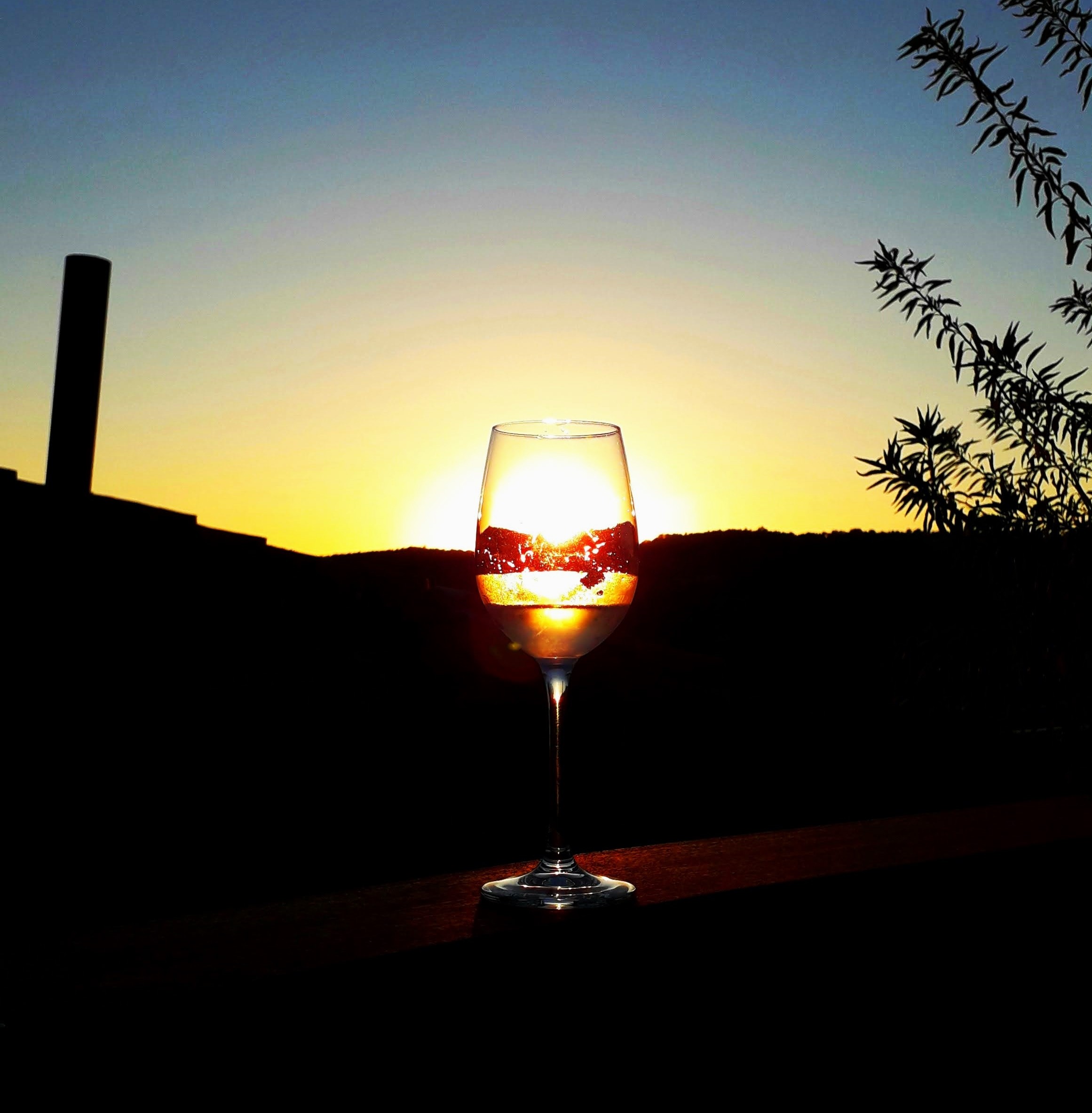 Taça de vinho durante o pôr do sol na região do Douro