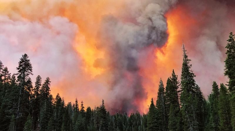  A fumaça causada pelo fogo (Foto: AP/deccanchronicle.com)