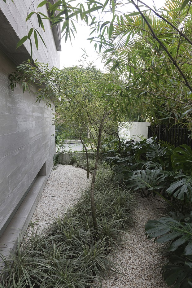 Um jardim contemplativo com espécies tropicais (Foto: divulgação)