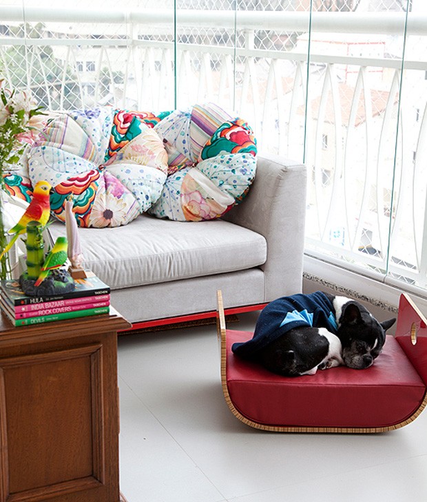 Elegante, a cama do buldogue francês Tião foi comprada em uma loja de design, em São Paulo, pelo casal de proprietários, os publicitários Carlos e Ana Paula (Foto: Fran Parente / Casa e Jardim)