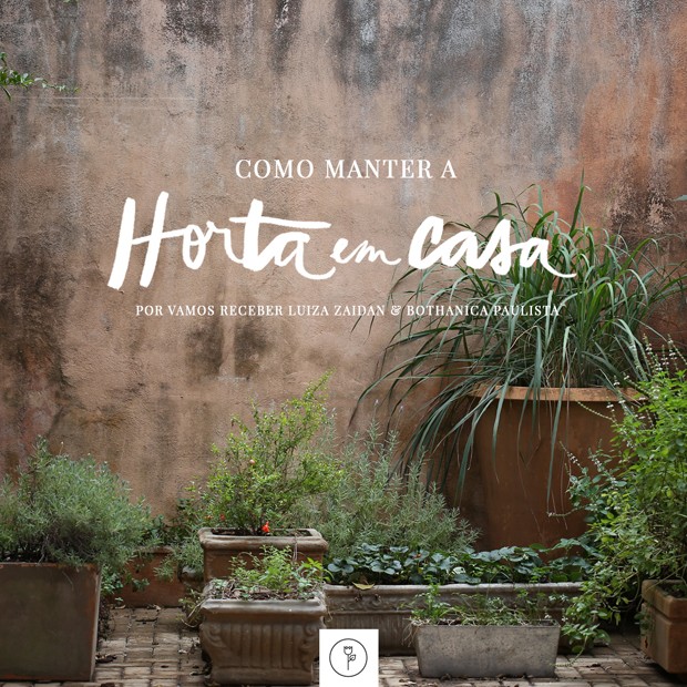 Como manter e cuidar da horta (Foto:  )