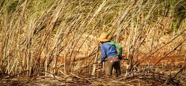 O chamado etanol 2G é produzido da palha e do bagaço da cana-de-açúcar