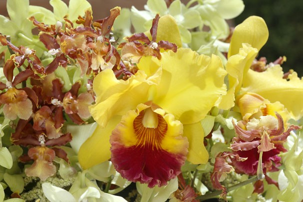 Mesas com orquídeas (Foto: por Vamos Receber; arte Karen Ho)