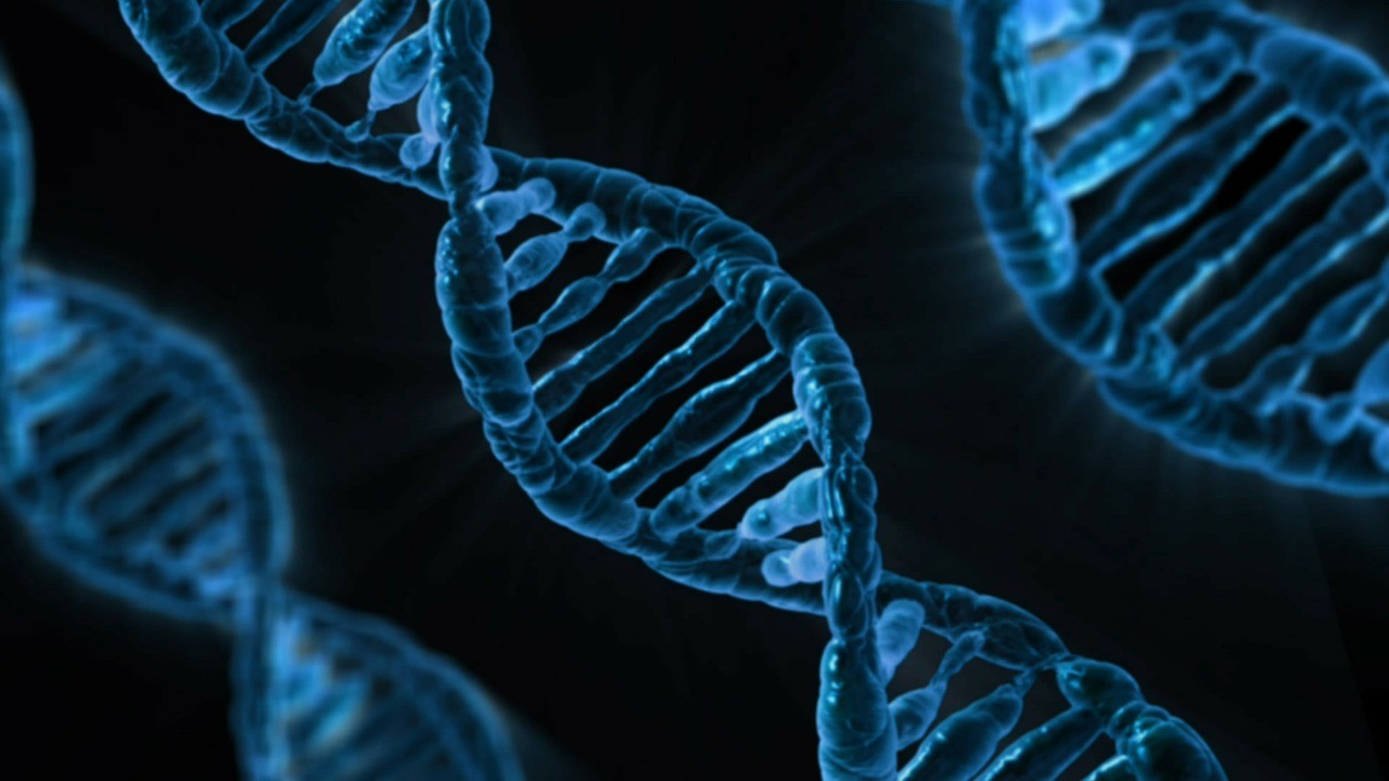 O estudo do DNA em humanos pode melhorar o tratamento de doenças genéticas (Foto: Pexels)