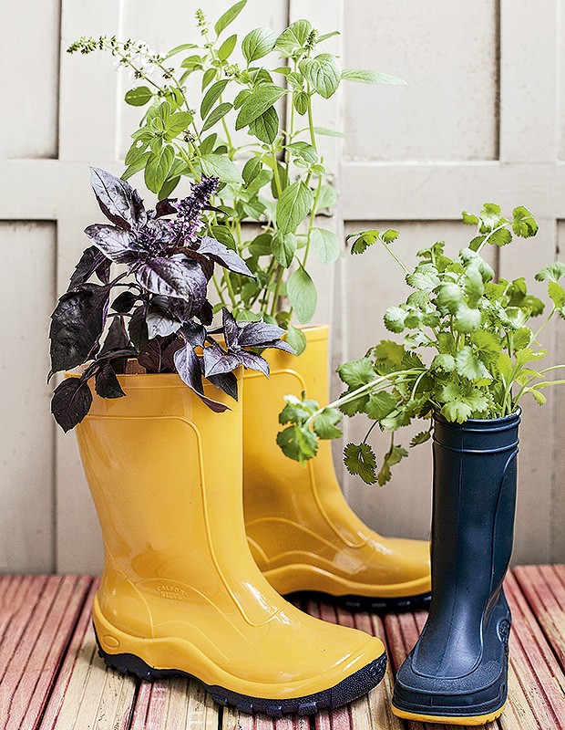 A galocha do menino apertou? Passe para o pé de manjericão! Lembre-se de podar sempre as flores dessa erva, para que elas não tirem a energia da planta. Botas BB Básico (Foto: Elisa Correa/Editora Globo)