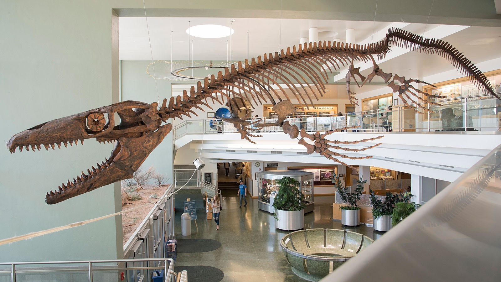 A característica mais marcante da espécie 'Gnathomortis stadtmani' é sua mandíbula, que mede 1,2 metros (Foto: Reprodução/BYU’s Eyring Science Center)