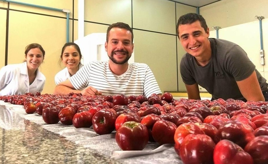 Em testes feitos na USP, micropartículas produzidas a partir da fruta verde apresentaram desempenho semelhante ao do composto sintético TBHQ, presente em alimentos processados e cosméticos (Foto: Acervo dos pesquisadores)