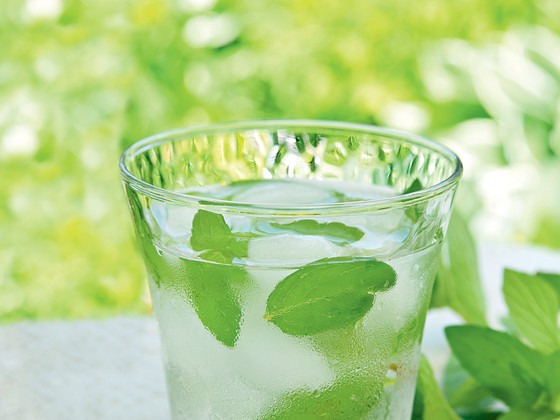 Mojito cubano infantil (Foto: Thinkstock)