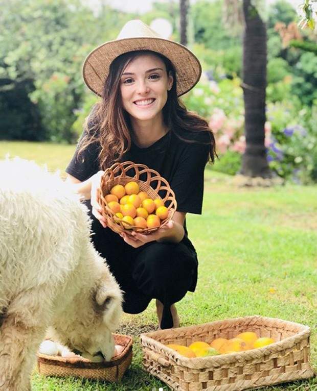 18 famosos veganos (Foto: Instagram)