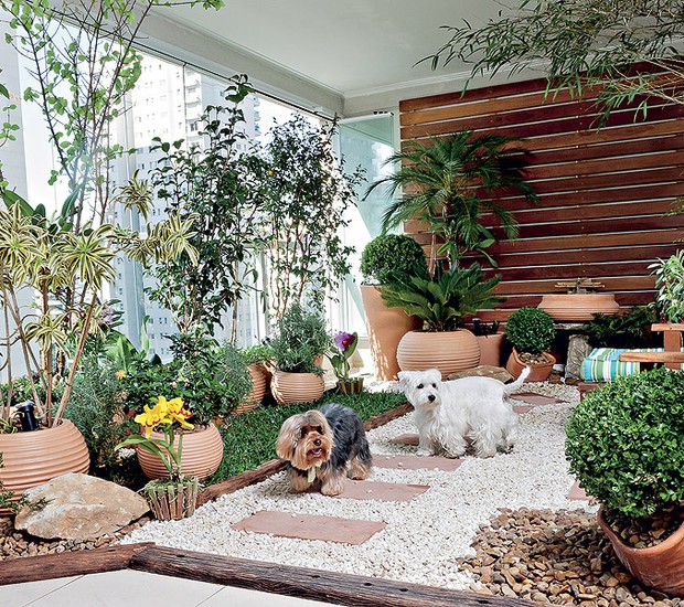 Mesmo morando em apartamento, os cães Billy e Burtikus podem brincar na grama – e também usá-la para fazer as necessidades (Foto: Ilana Bar / Casa e Jardim)