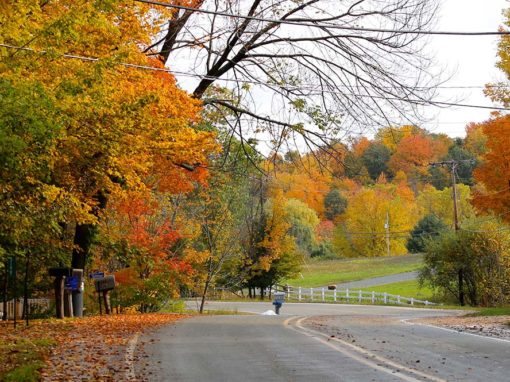 Inland Fall Color Self-Guided Tour