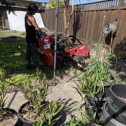 Coastside Tree Service