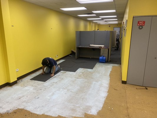 Photo of American Carpet Distributors - Park Ridge, IL, US. Commercial carpet tile in office building