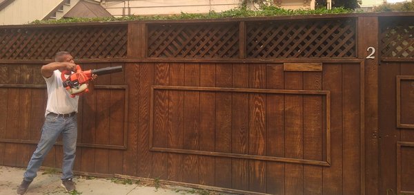 Photo of Discount Clean-Up Gardening - San Francisco, CA, US. The three types of vines on my fence had gone Wild and desperately needed a major crew cut! Max to the rescue!