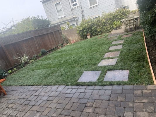 Photo of Blooms Gardening - San Francisco, CA, US. A recent install of real sod with the brick work power washed and a small plant up on the left side .