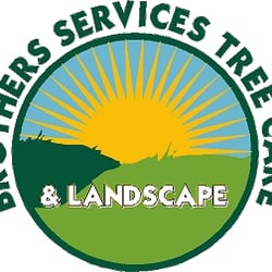 Brothers Services Tree Care